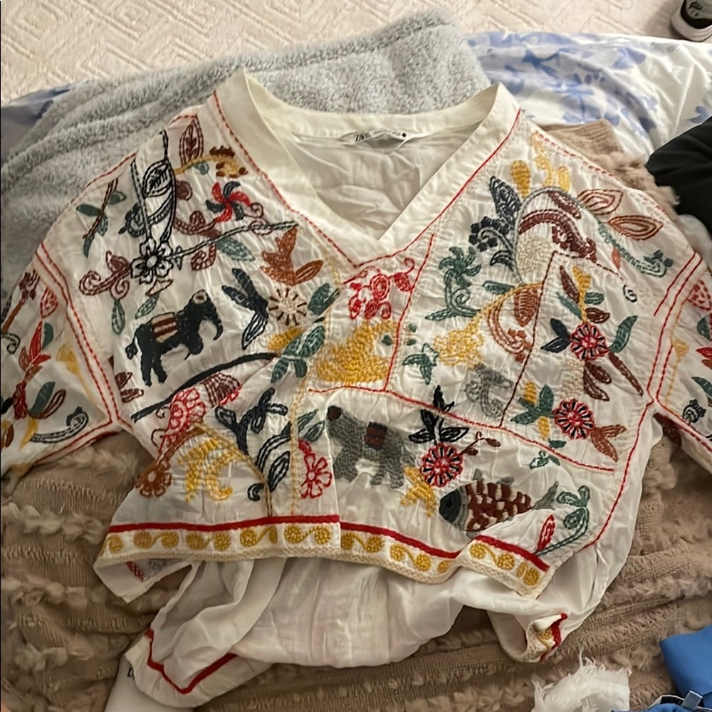Zara Multicolor Embroidered Blouse